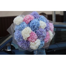 Облако из гортензий