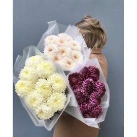 Любимые Хризантемы!