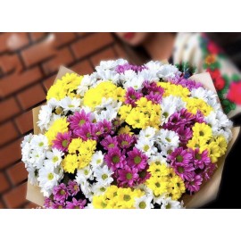 Яркие хризантемы 