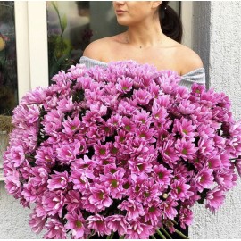 Розовая милота