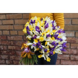 Желто-фиолетовые ирисы