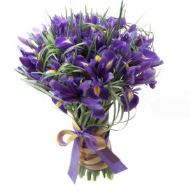 Моей единственной принцессе