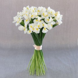 Белая нежность