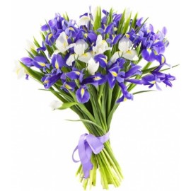 Ирисовый микс