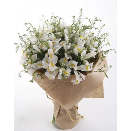 Доброе утро, красотка!