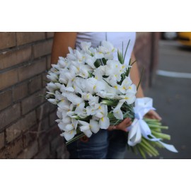 51 белый ирис 