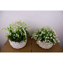 Весенняя пара