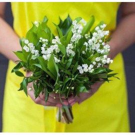 25 ландышей под ленту