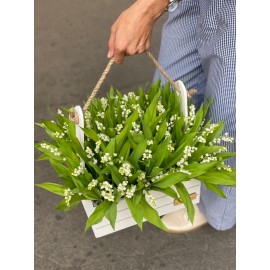 Когда цветут ландыши 