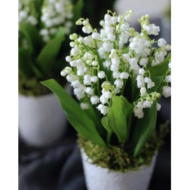 Ландыши в керамическом кашпо 