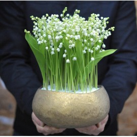 Ландыши сегодня!