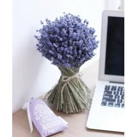 Нотки Прованса