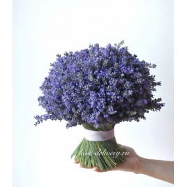 Шарик из живой лаванды 