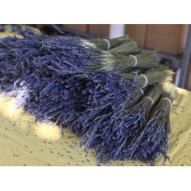 Пучок лаванды