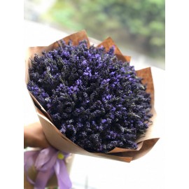 Время прованса 