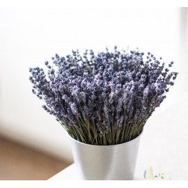 Ведро с лавандой