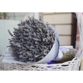 Утро в провансе 