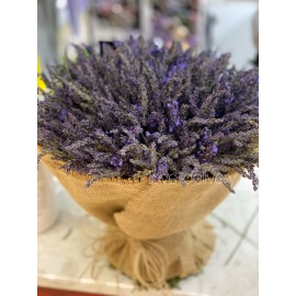 Охапка свежей лаванды 