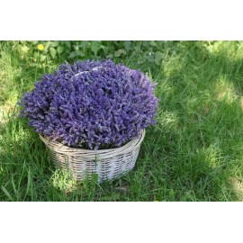 Средняя корзина из живой лаванды 