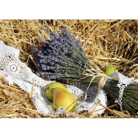 Просто Лаванда 