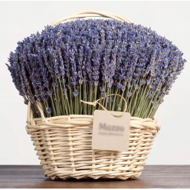 Французская история