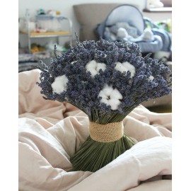 Утренний прованс