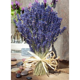 Гранд Прованс