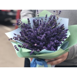 Свежесть прованса 