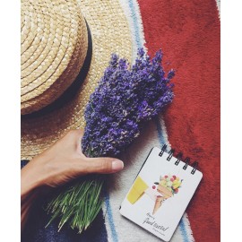 Пучок свежей лаванды 