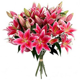 25 розовых лилий