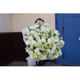 Кудрявые красотки