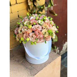 Ирландская роза в шляпной коробке