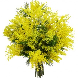 Мартовские деньки