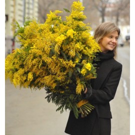 Итальянский гигант 