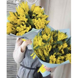 Мимоза в подарок!