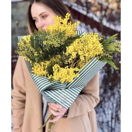 Кулёк с мимозой