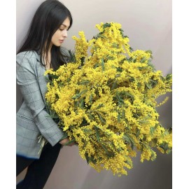 Вот так размер!