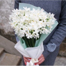 Кустовые красавчики 