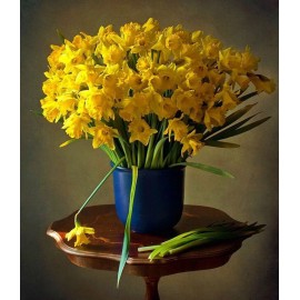 51 желтый нарцисс в вазе