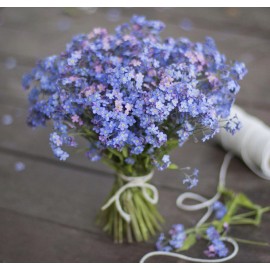 Охапка незабудок