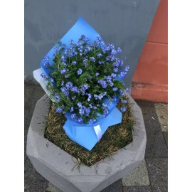 Незабудки в крафте