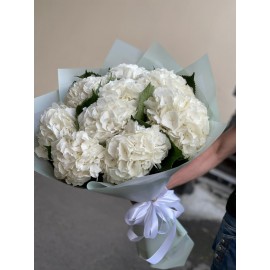 9 пышных красоток 