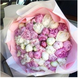 Лучшее  лето!