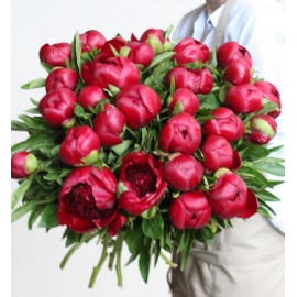 Пионы Ред Шарм