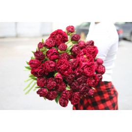 Акция! Красные пионы Оле Файтфул от 9 штук 