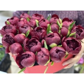 Сердце из пионов