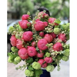 Эмоции в стиле коралл!