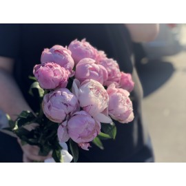 11 розовых пионов