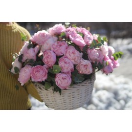 Первое впечатление