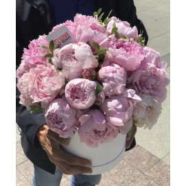 Люблю пионы!